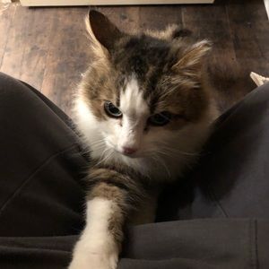 Meet your Posher, Michelle